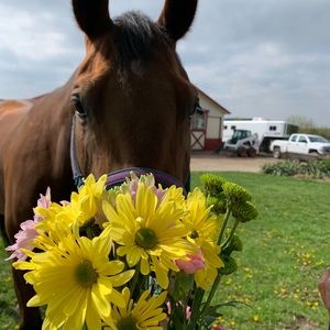 Meet your Posher, Brandi